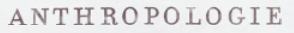 Anthropologie Gutscheincode & Rabatte